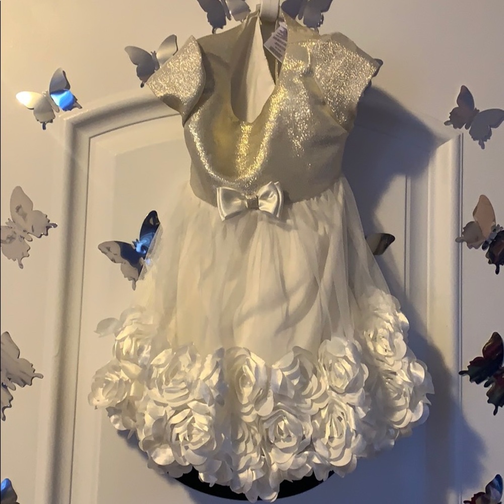 Beutiful princess dress